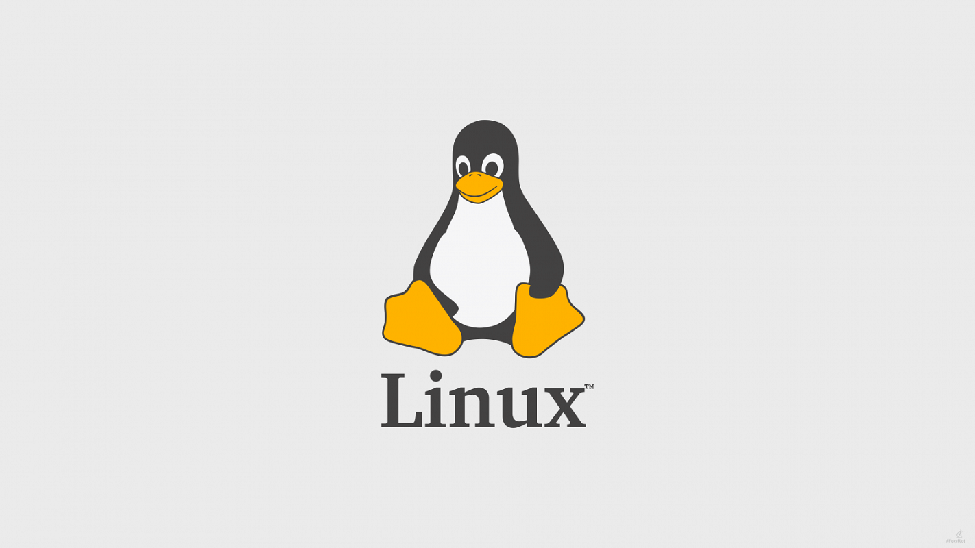 LINUX OS